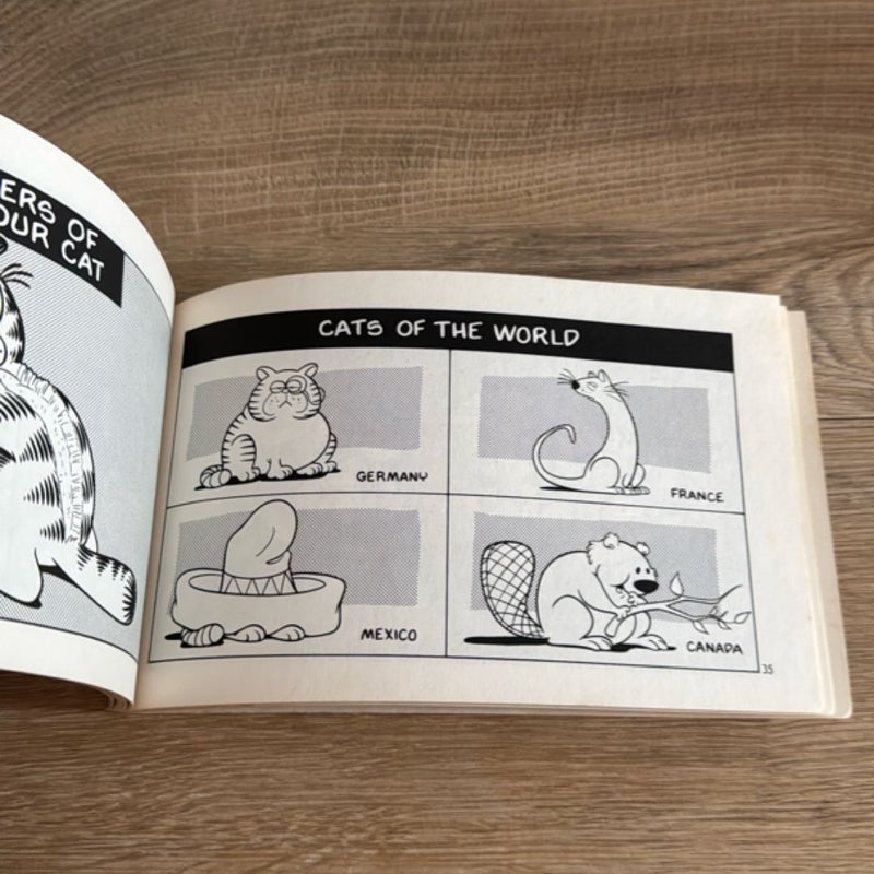 Garfield Unabridged Uncensored Unbelievable