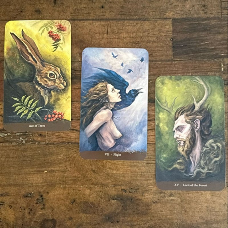 Witch Sister Tarot