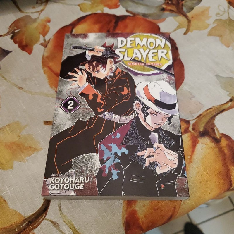 Demon Slayer: Kimetsu No Yaiba, Vol. 2