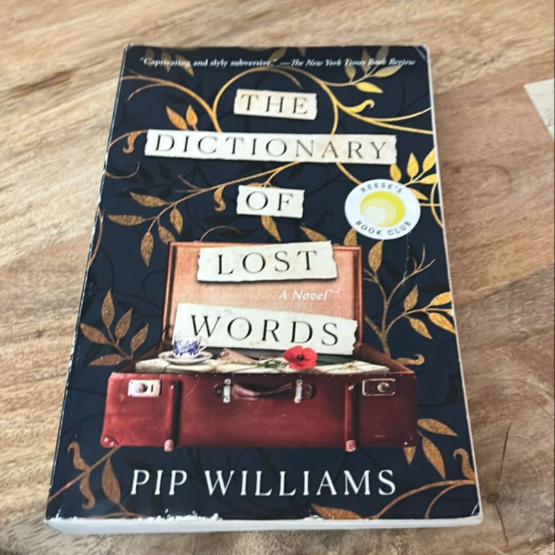 The Dictionary of Lost Words