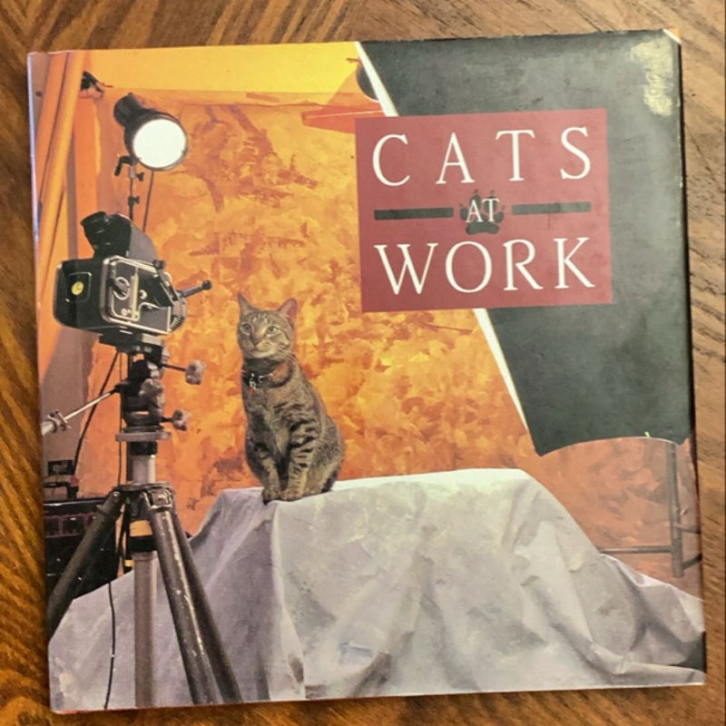 Cats at Work