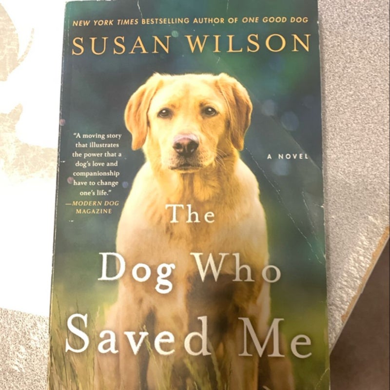 The Dog Who Saved Me