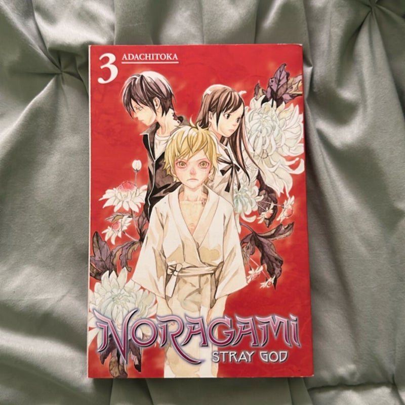 Noragami: Stray God 3