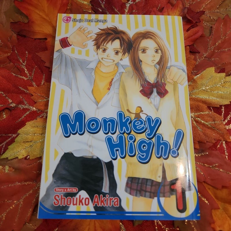 Monkey High!, Vol. 1