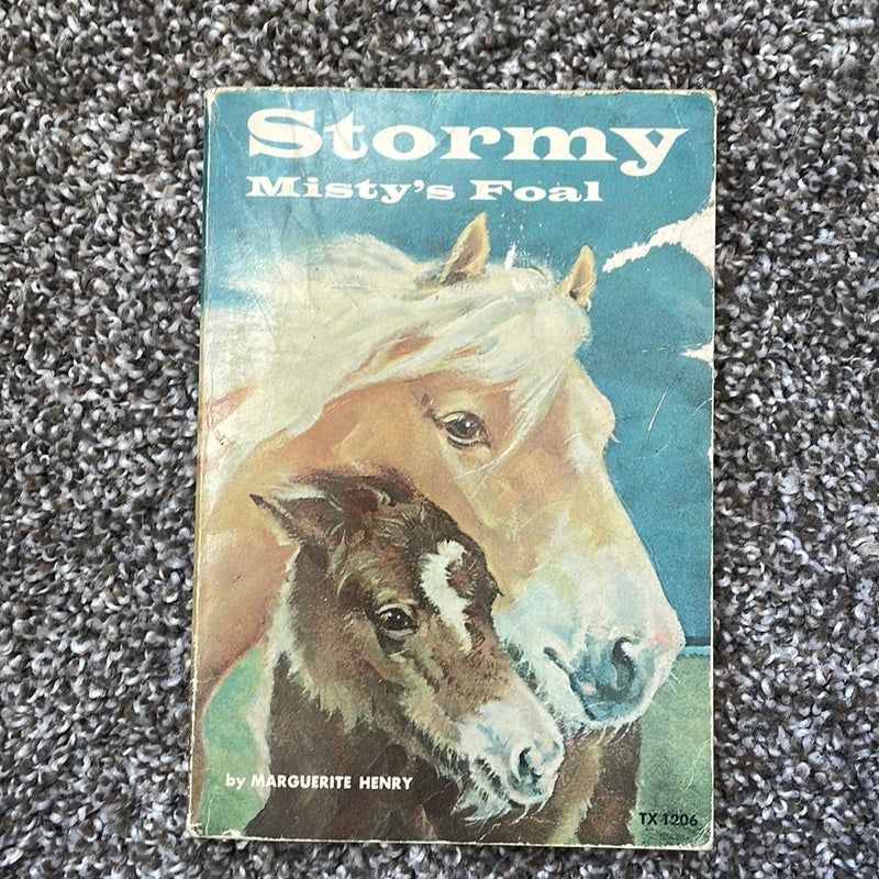Stormy Misty’s Foal 