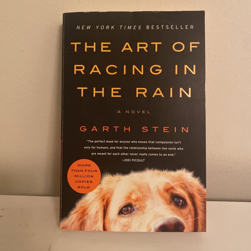 The Art of Racing in the Rain