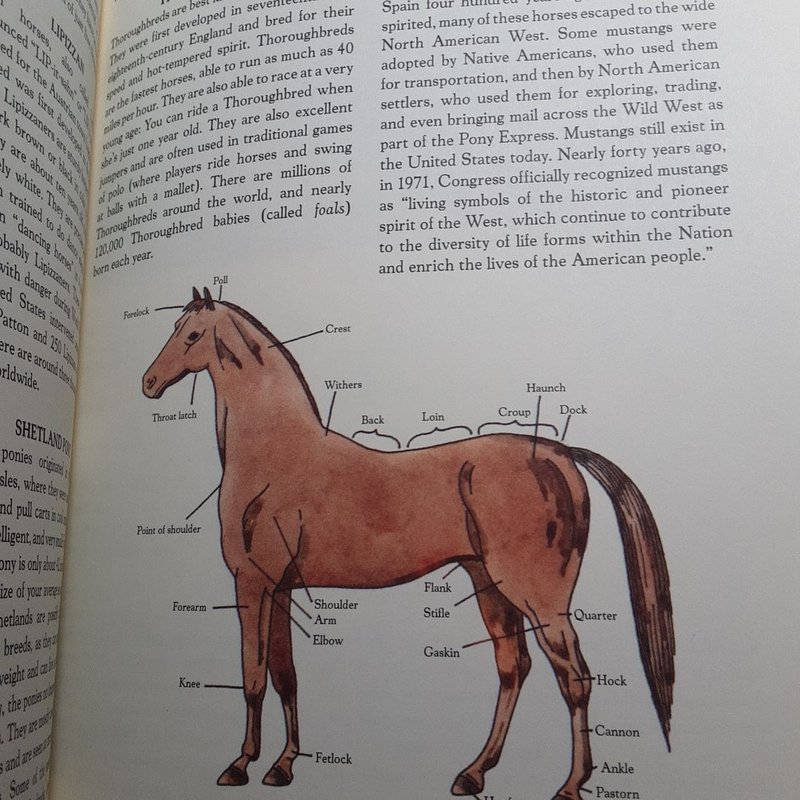 The Double-Daring Book for Girls