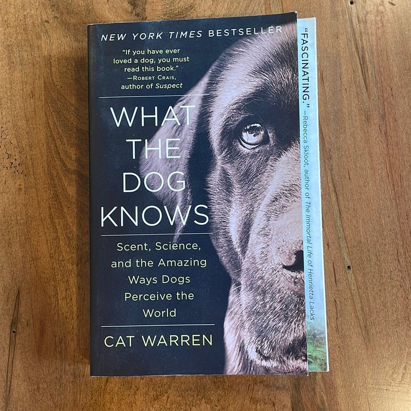 What the Dog Knows