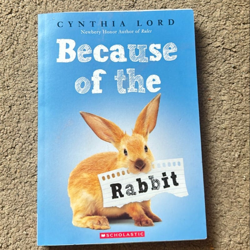 Because of the Rabbit