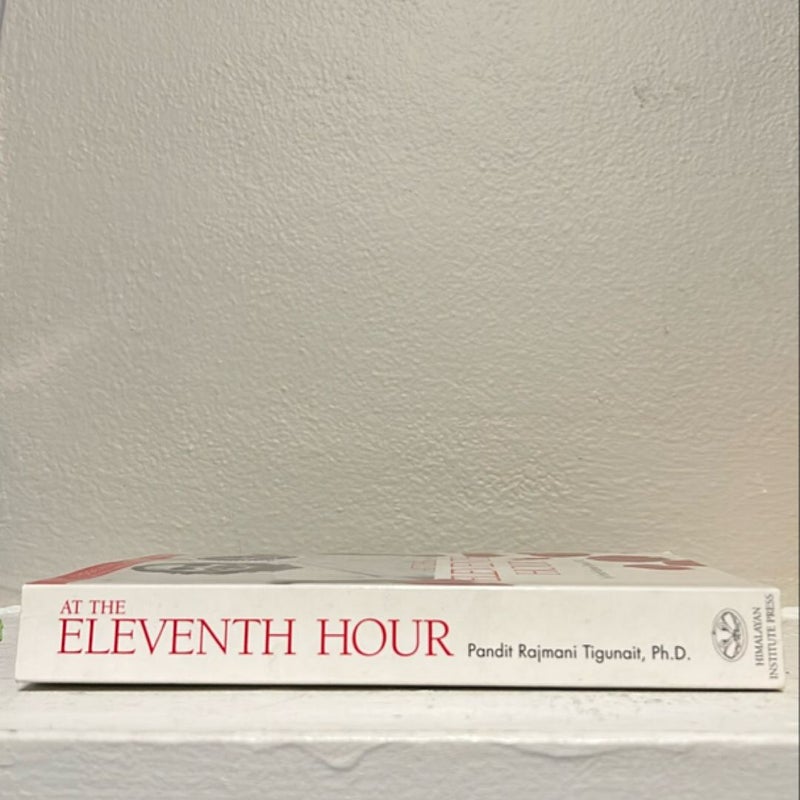 At the Eleventh Hour