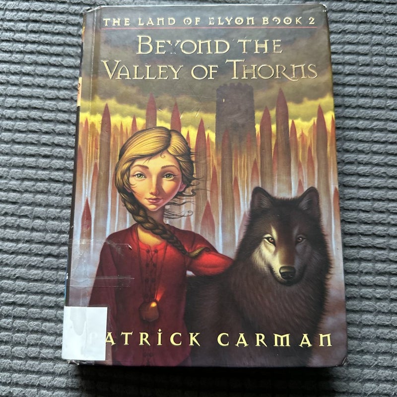 The Land of the Elyon Book 2: Beyond the Valley of Thorns