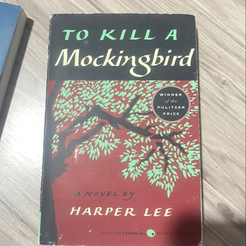 To Kill a Mockingbird
