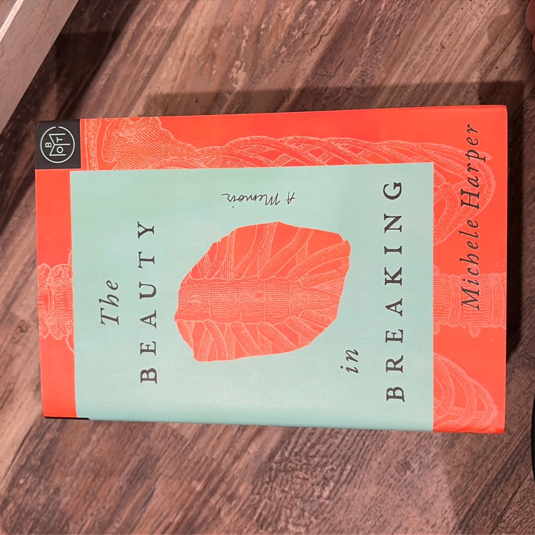 The Beauty in Breaking