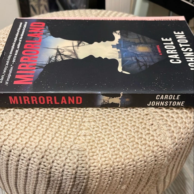 Mirrorland 
