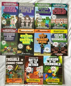 Various Unofficial Minecraft Chapter Books