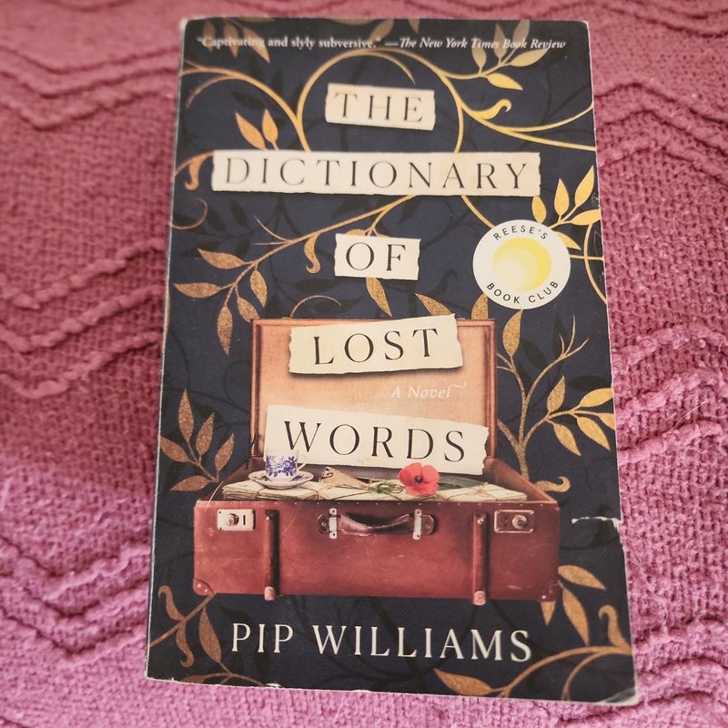 The Dictionary of Lost Words