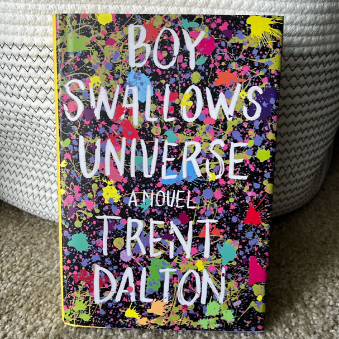 Boy Swallows Universe