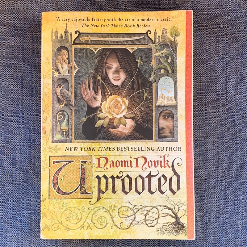 Uprooted by Naomi Novik