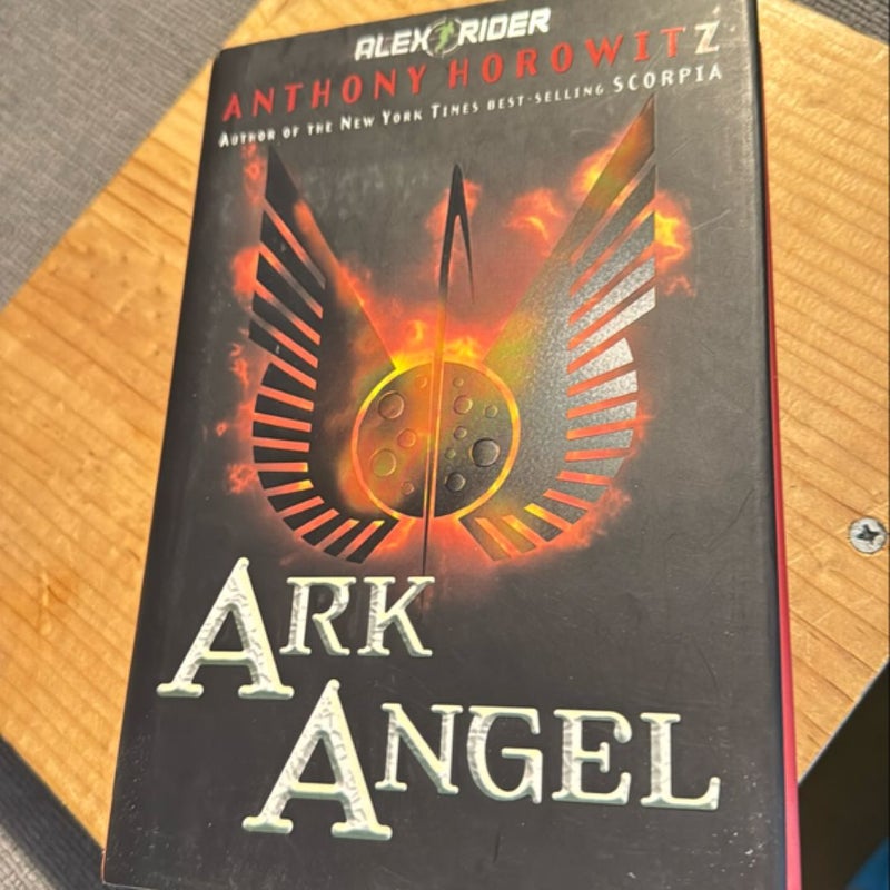 Ark Angel