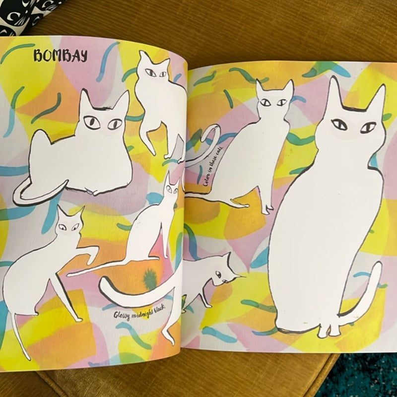 Color a Cat
