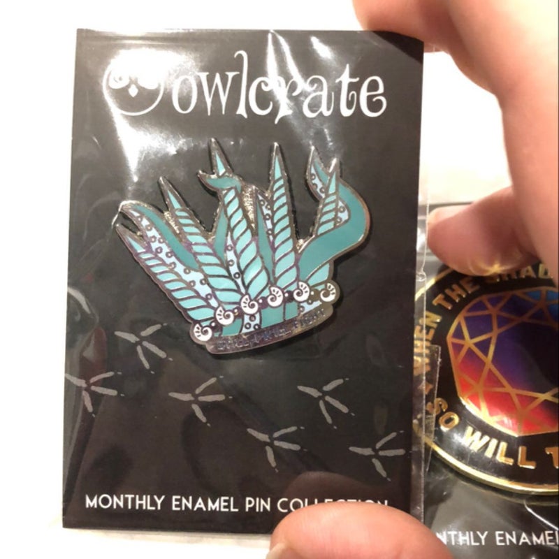 Owlcrate 3 piece pin set