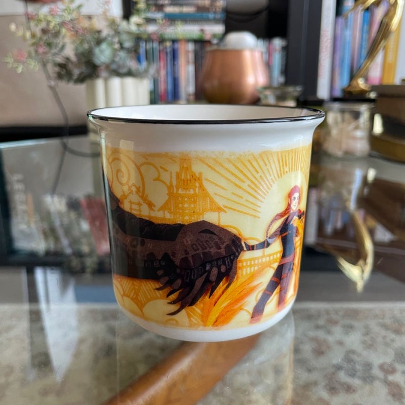 Illumicrate Fourth Wing Inspired Mug