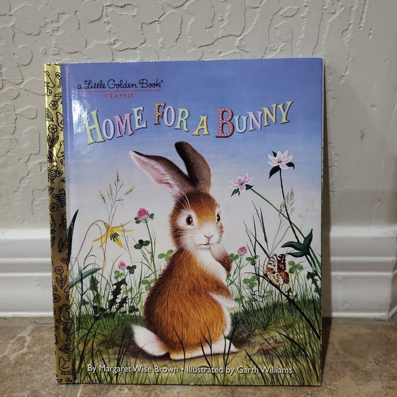 Home for a Bunny