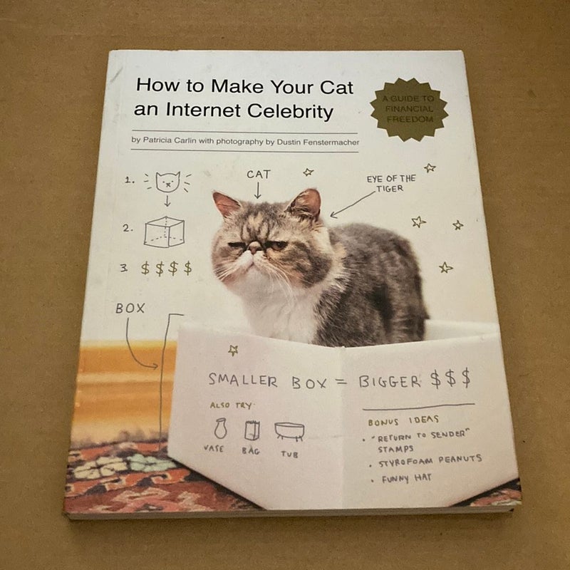 How to Make Your Cat an Internet Celebrity