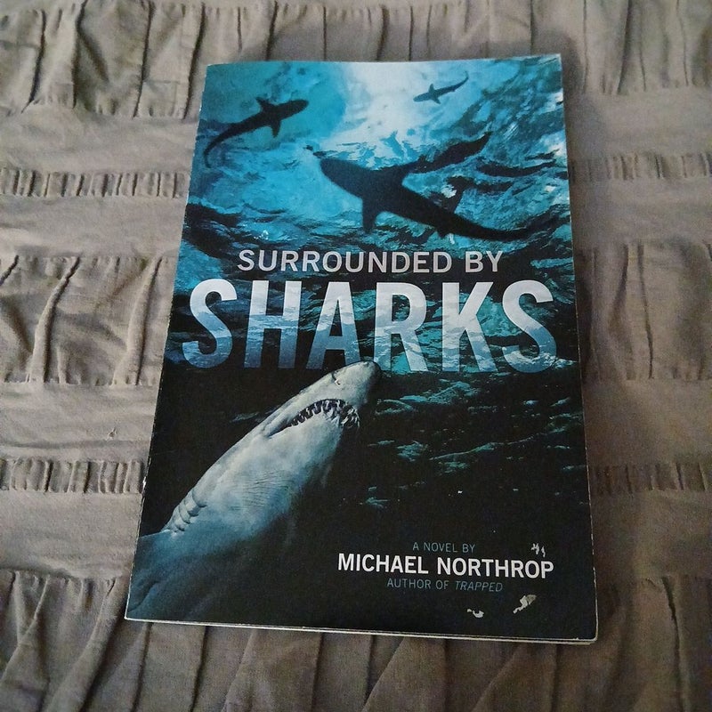 Surronded By Sharks