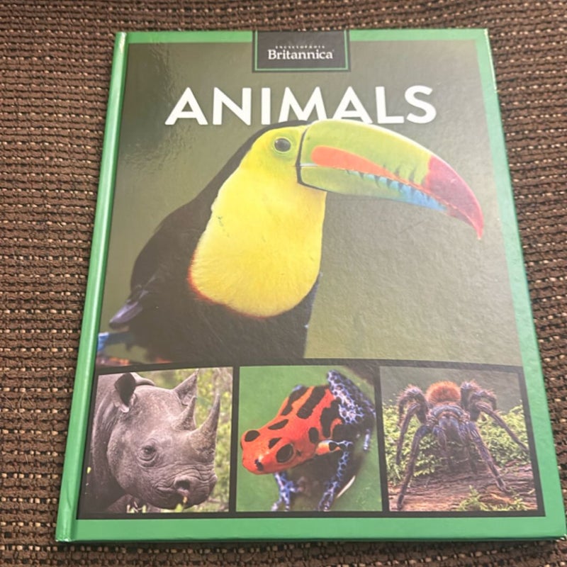 Being a Toucan