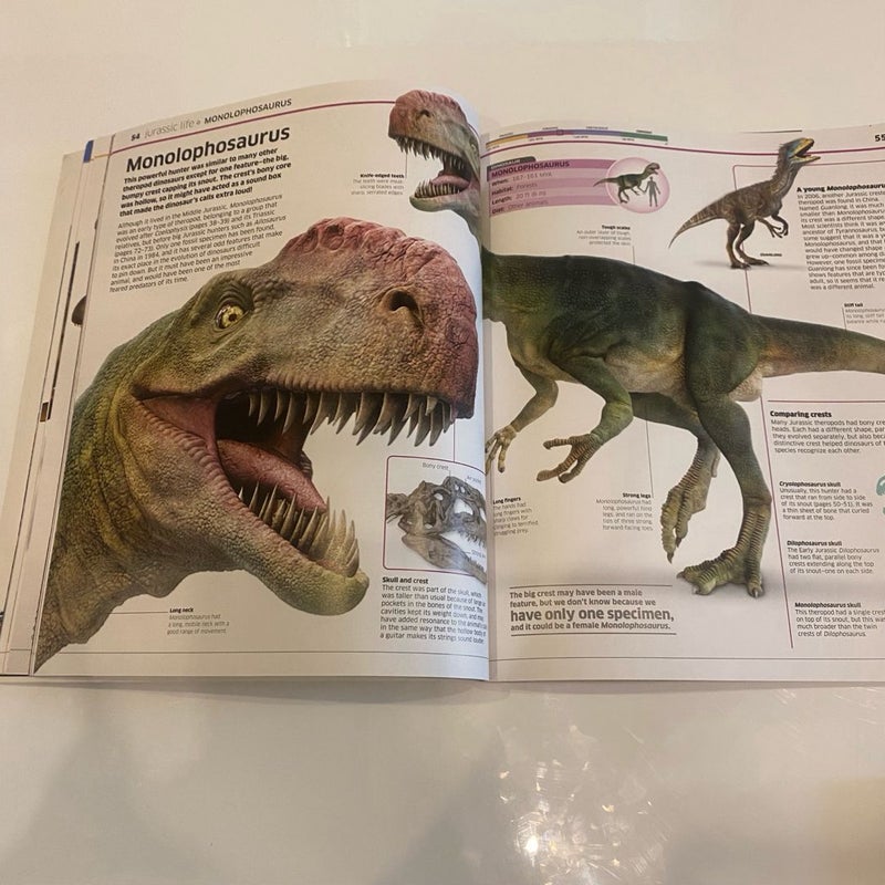 DK Dinosaur Book Bundle for Kids