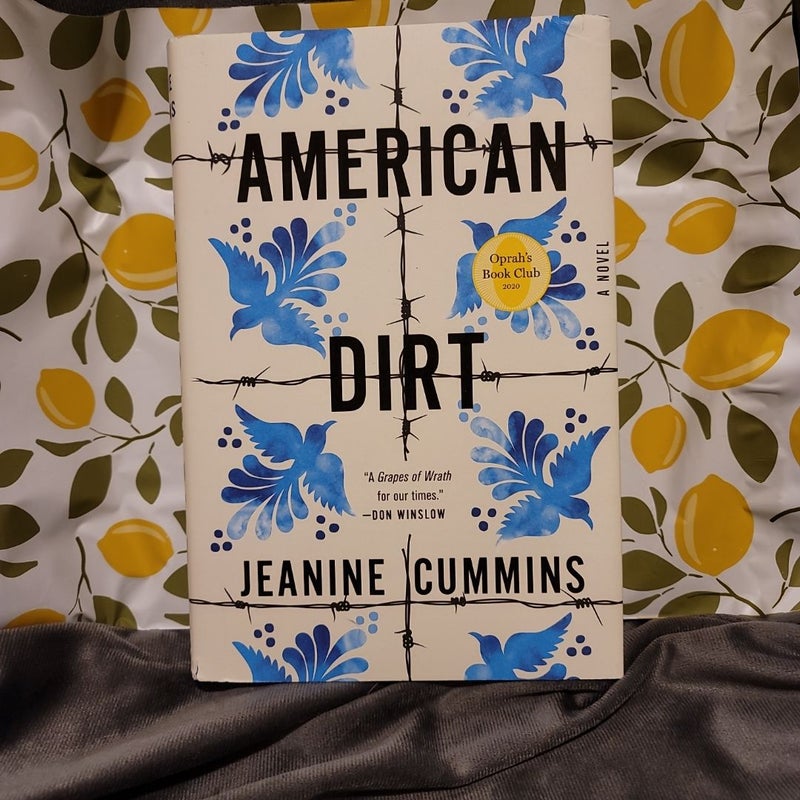 American Dirt (by Jeanine Cummins)