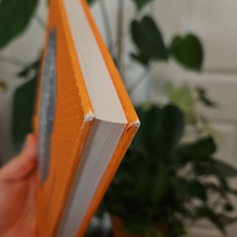 Little Book of Lettering