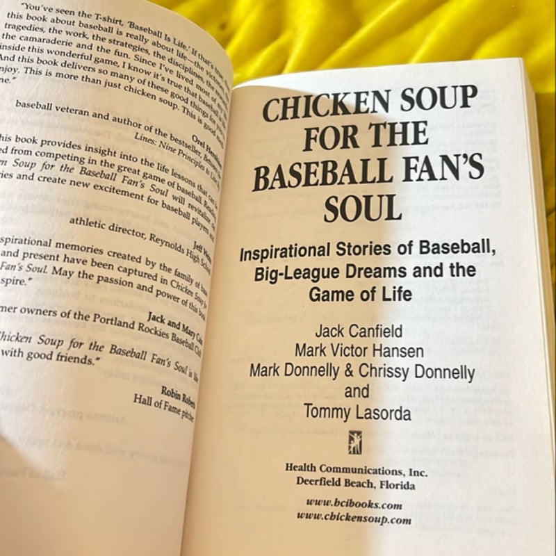 Chicken Soup for the Baseball Fan's Soul