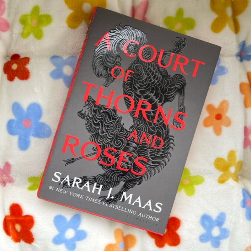 A Court of Thorns and Roses 1-4 set