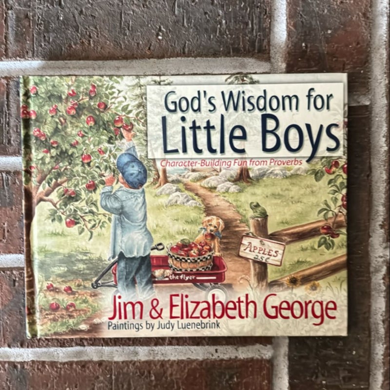 God's Wisdom for Little Boys