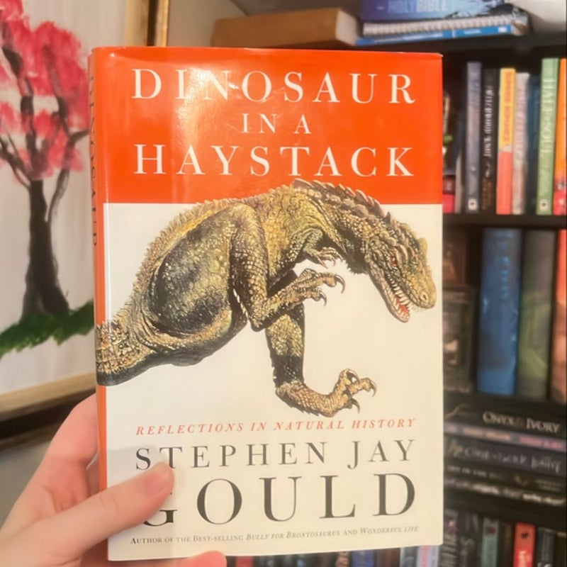 Dinosaur in a Haystack