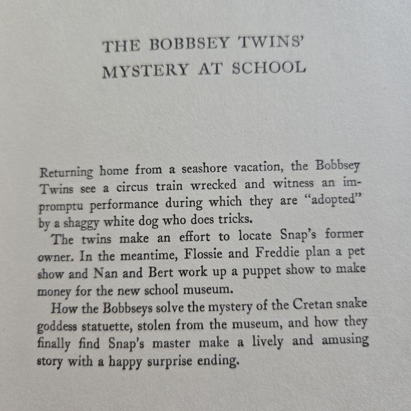 The Bobbsey Twins: The Mystery at School