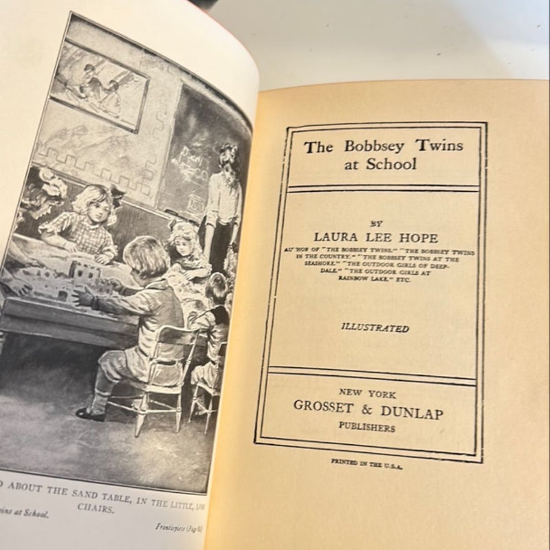 The Bobbsey Twins at School 