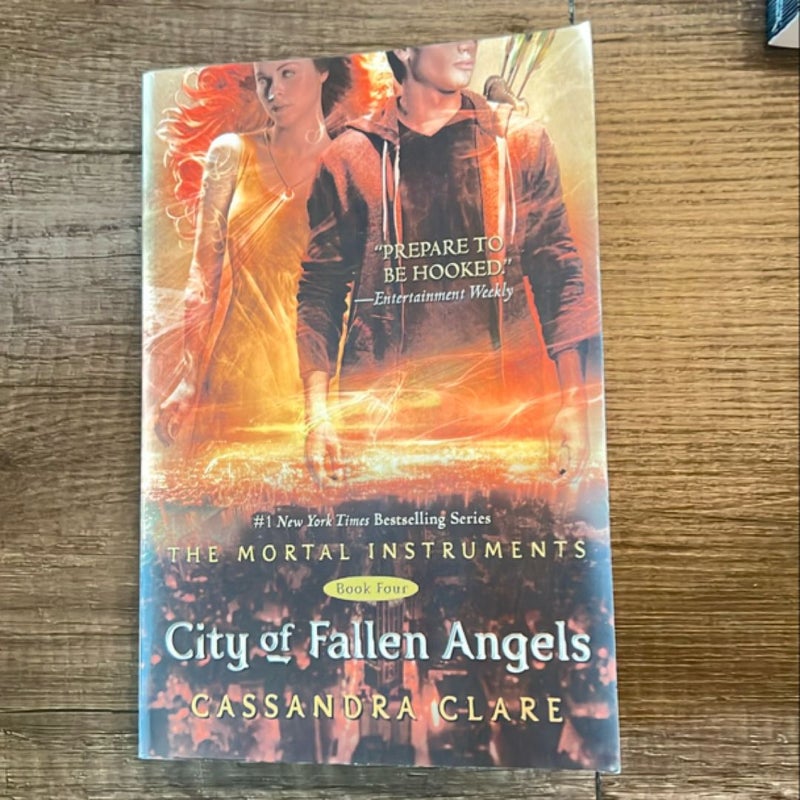 City of Fallen Angels