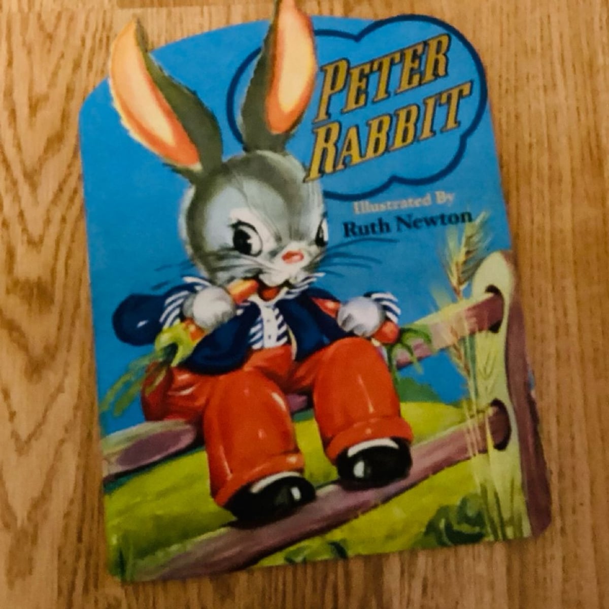 Peter Rabbit Shape Book by Ruth Newton