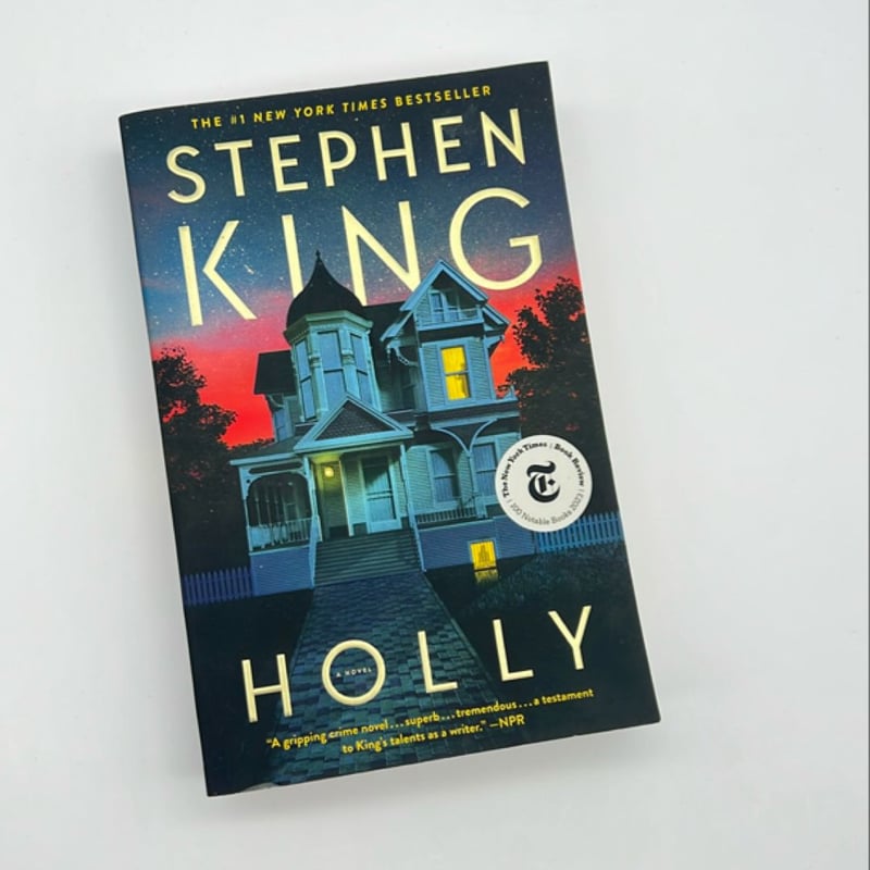 Holly by Stephen King, Paperback | Pangobooks