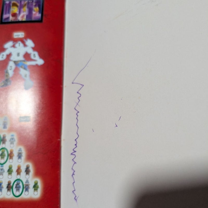 Ninjago 4 Book Lot