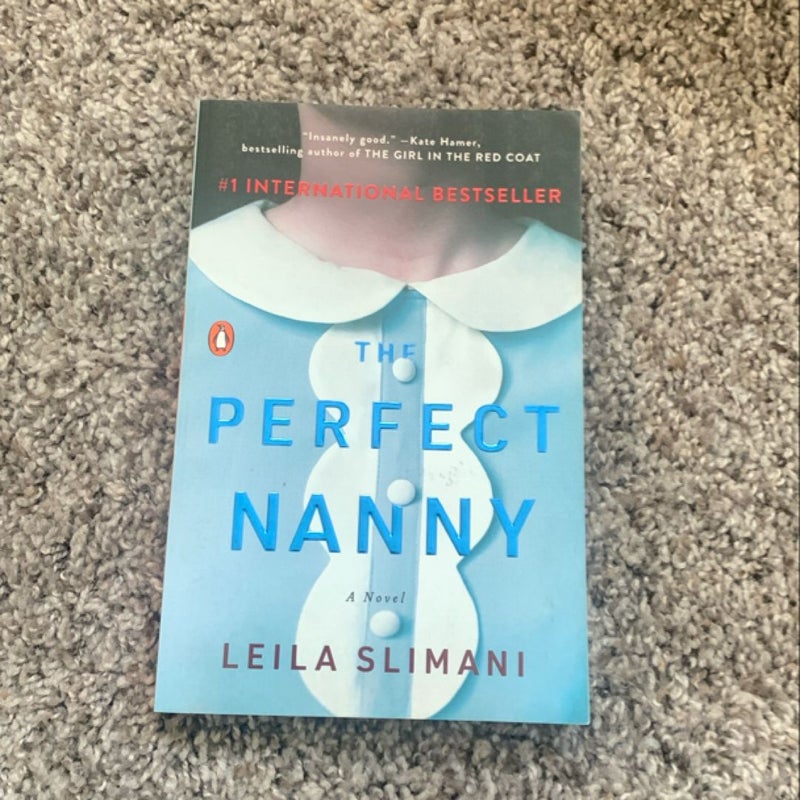 The Perfect Nanny