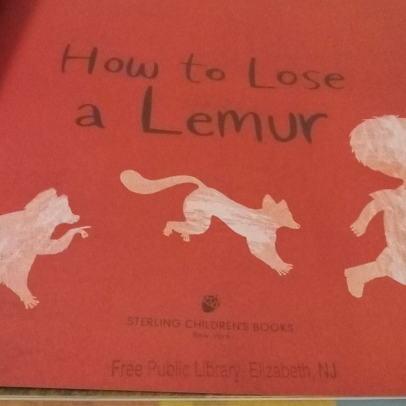 How to Lose a Lemur