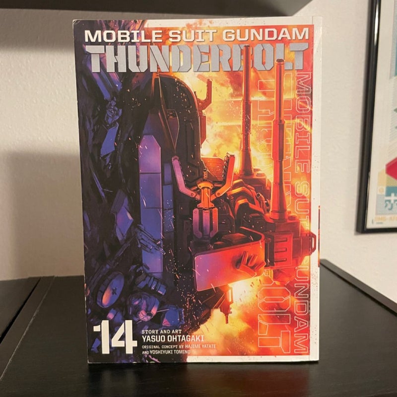 Mobile Suit Gundam Thunderbolt, Vol. 14