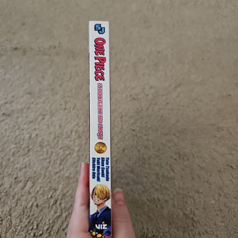 One Piece: Shokugeki No Sanji