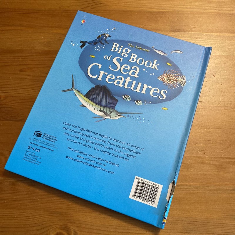Big Book of Sea Creatures 
