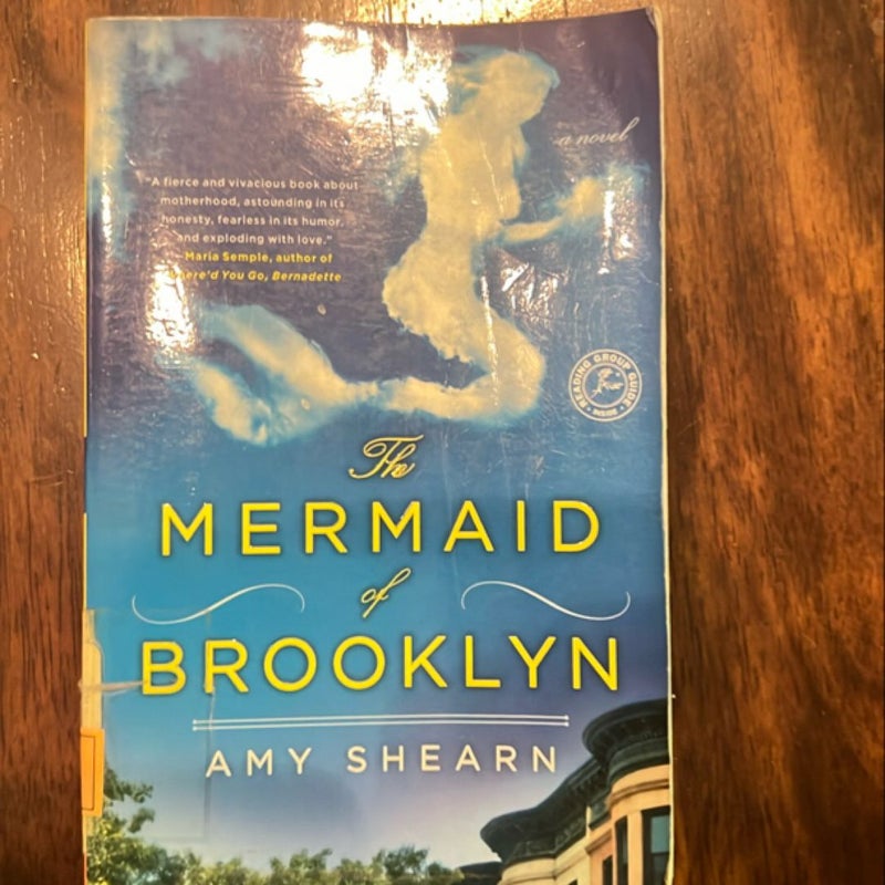 The Mermaid of Brooklyn