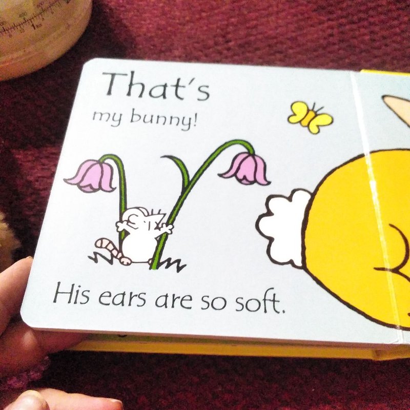 That's Not My Bunny...